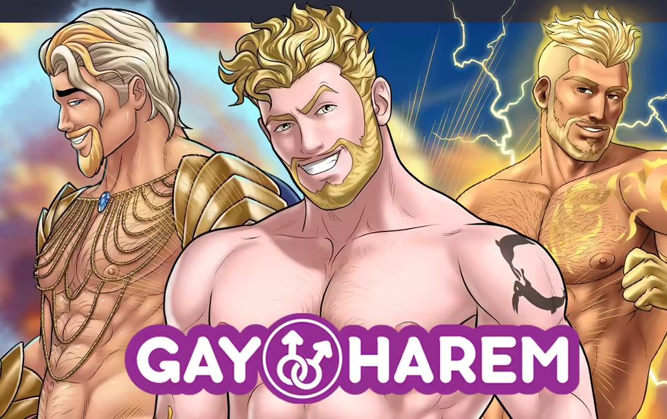 Copertina di Gay Harem