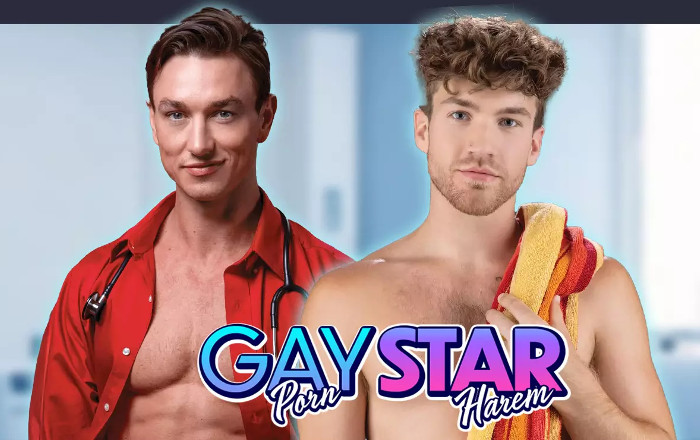 Copertina di Gay Pornstar Harem